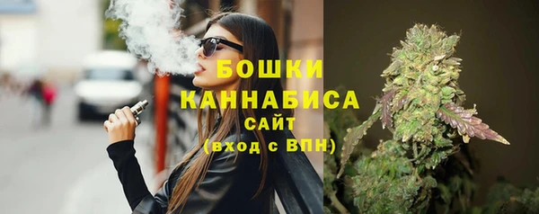 Альфа ПВП Лагань