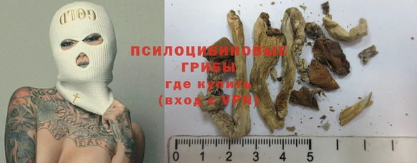 Альфа ПВП Лагань