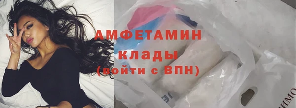Альфа ПВП Лагань