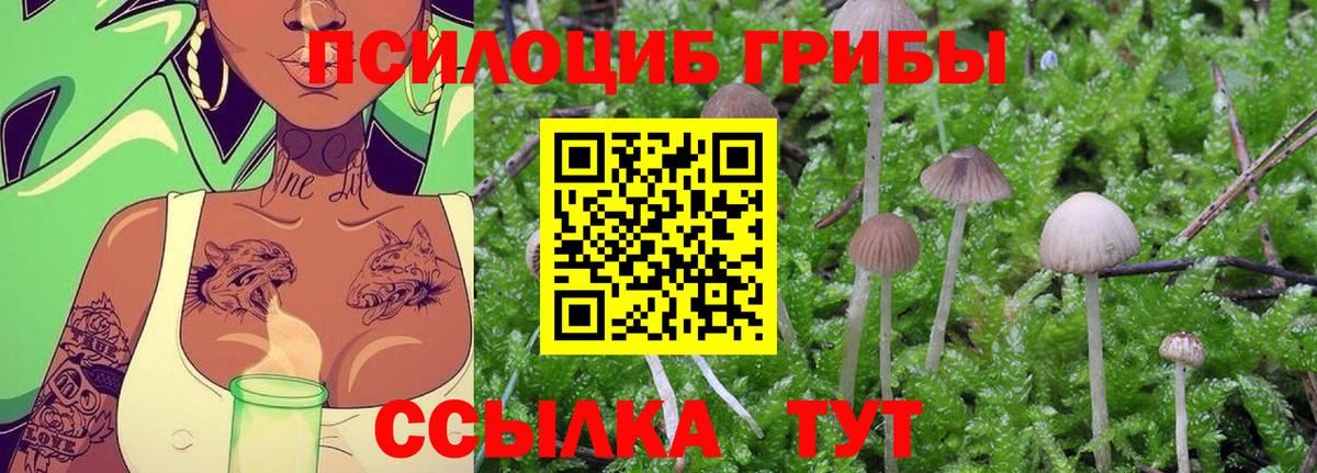 Псилоцибиновые грибы Psilocybine cubensis  Вход с VPN  Абакан 