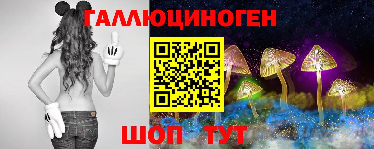 Экстази  Гашиш  Конопля  Как найти закладки?  Вход с VPN  Кокаин  Меф МЯУ МЯУ кристаллы  ГАШ  Конопля  Абакан  MDMA 